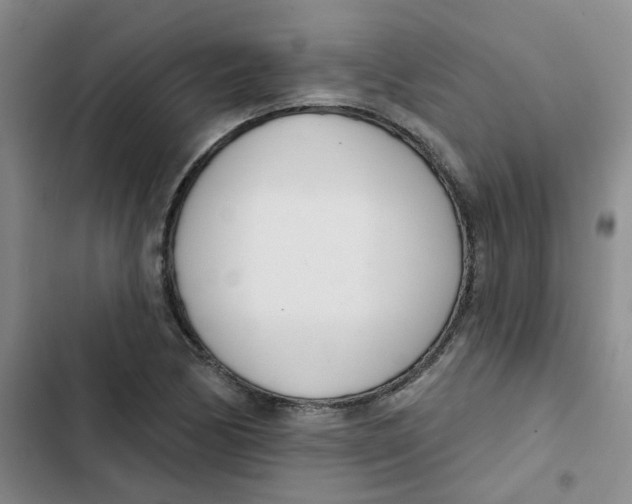 X0000102851170200809151120