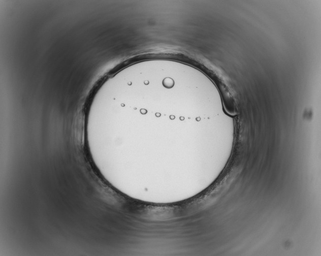 X0000102851171200809151120