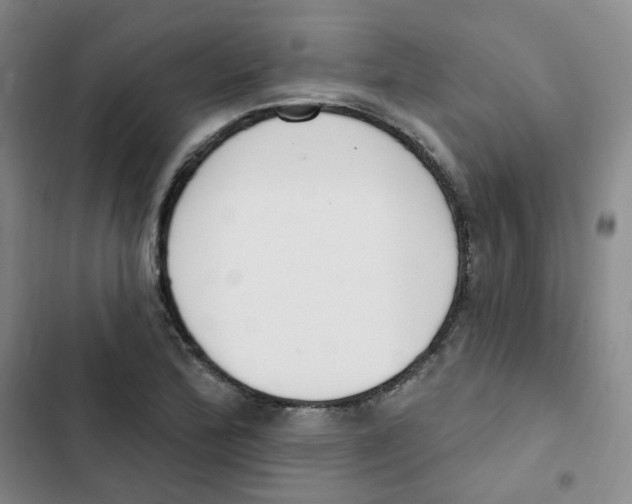 X0000102851172200809151120