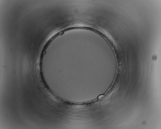 X0000102851173200809151120