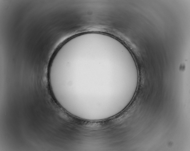 X0000102851174200809151120