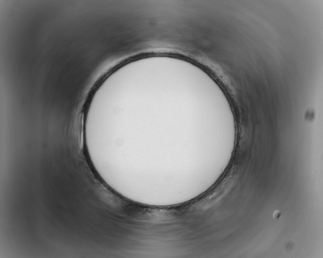 X0000102851175200809151120