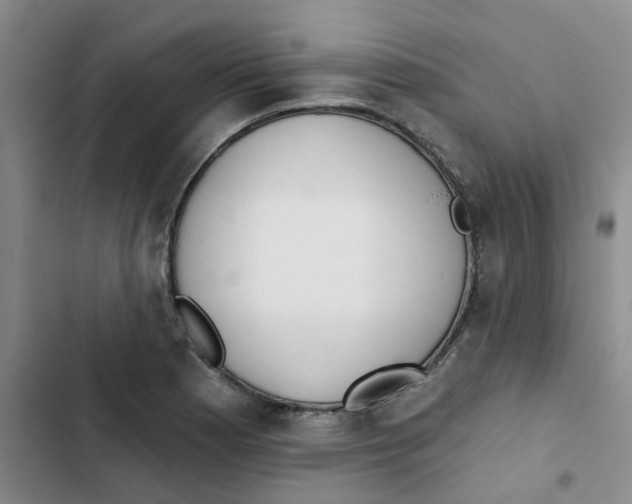 X0000102851177200809151120