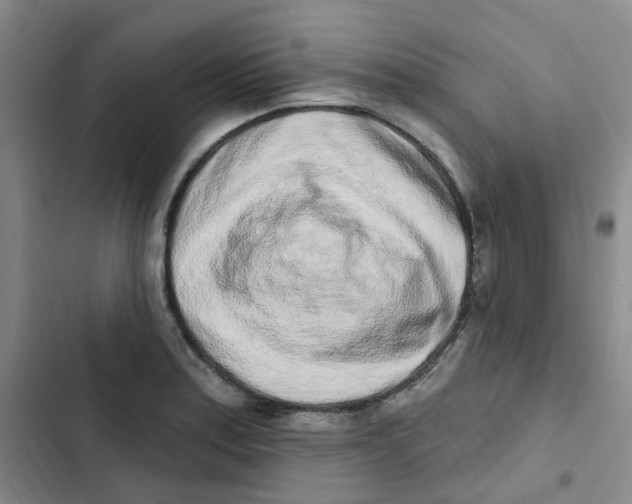 X0000102851179200809151120