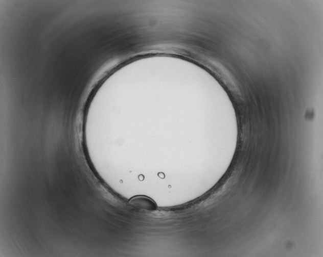 X0000102851180200809151120