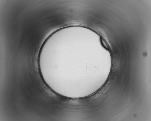 X0000102851182200809151120