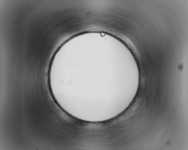 X0000102851183200809151120