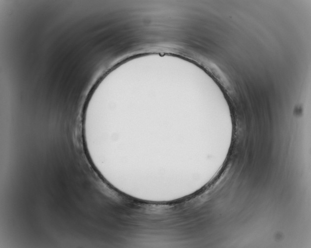 X0000102851184200809151120