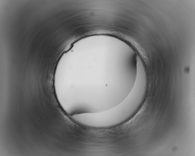 X0000102851185200809151120