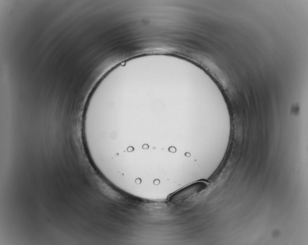 X0000102851186200809151120