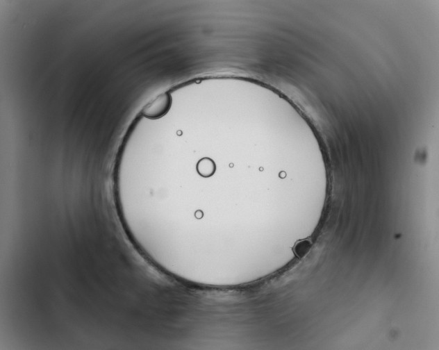 X0000102851189200809151120