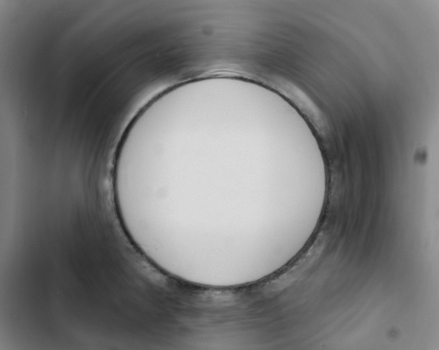 X0000102851190200809151120