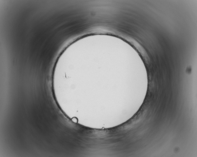 X0000102851191200809151120