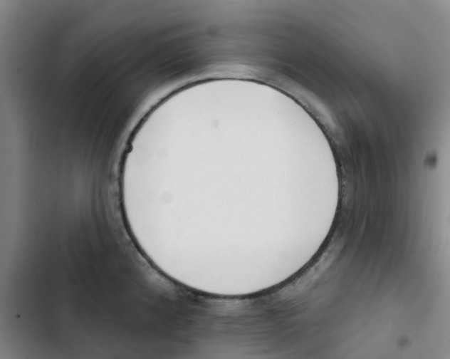 X0000102851192200809151120