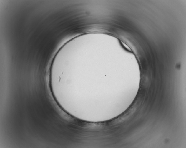 X0000102851195200809151120