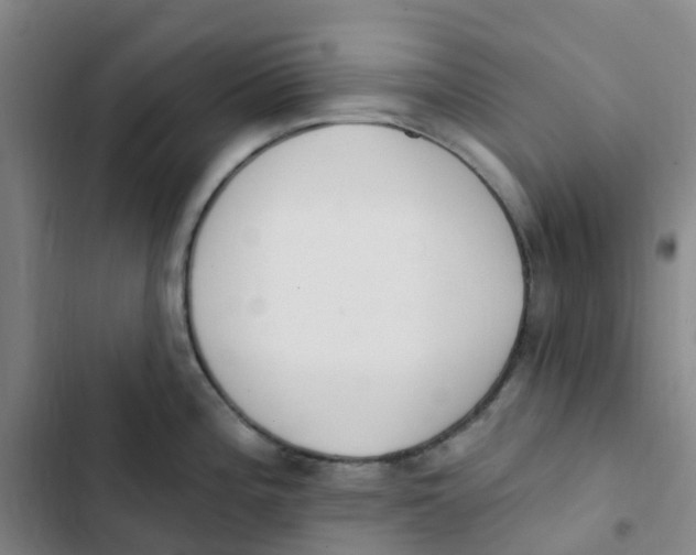 X0000102851196200809151120