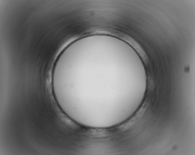 X0000102851198200809151120