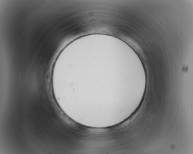 X0000102851200200809151120