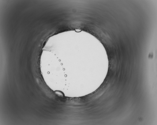 X0000102851201200809151119