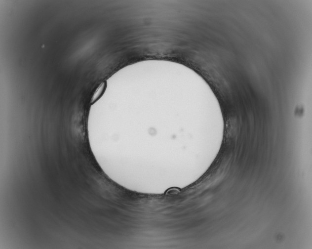 X0000102851202200809151119