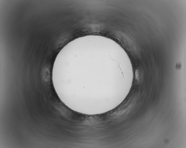 X0000102851203200809151119