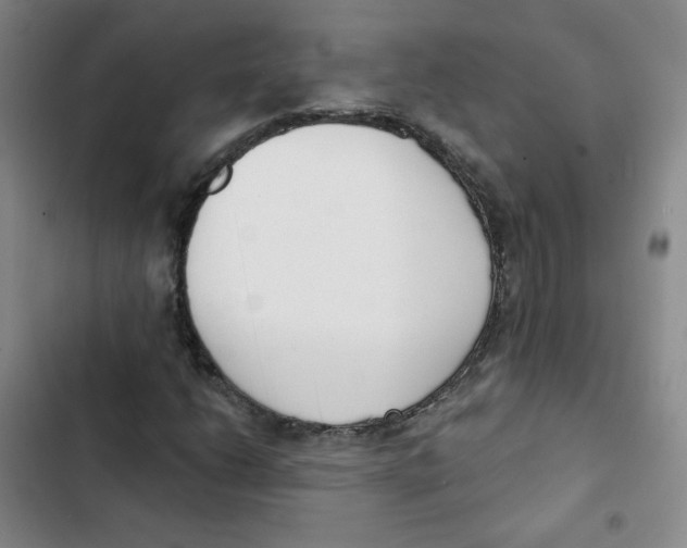 X0000102851206200809151119