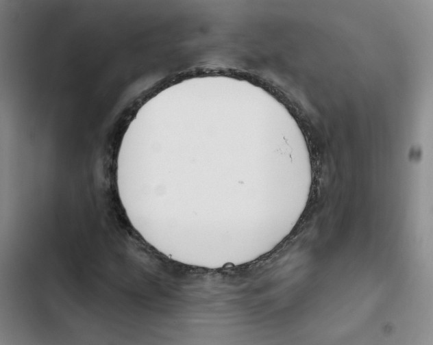 X0000102851207200809151119