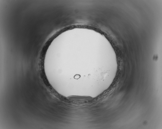 X0000102851208200809151119