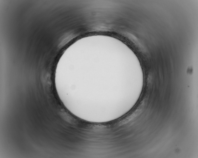 X0000102851209200809151119