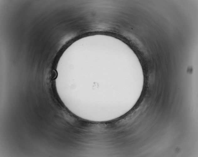 X0000102851210200809151119