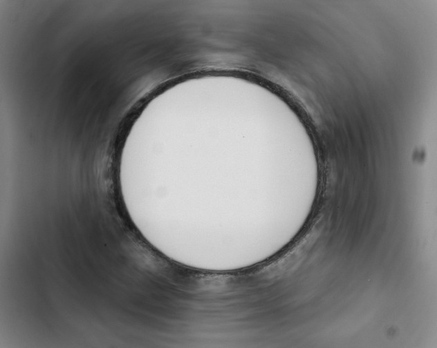 X0000102851211200809151119