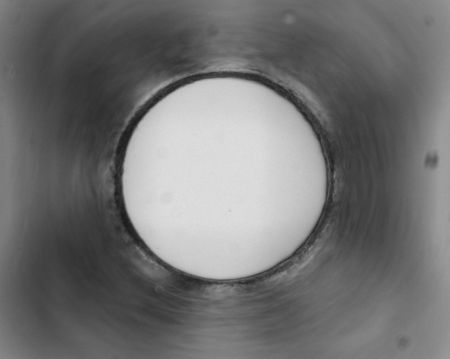 X0000102851212200809151119