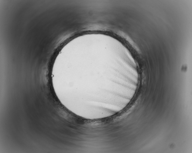 X0000102851213200809151119