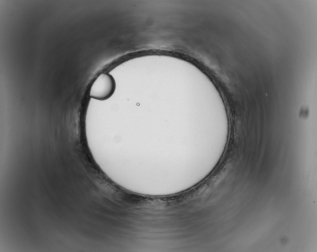 X0000102851214200809151119