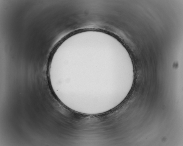 X0000102851216200809151119