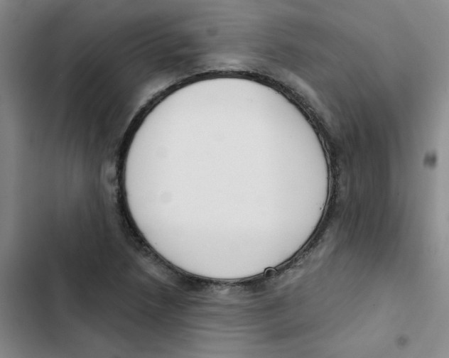 X0000102851218200809151119