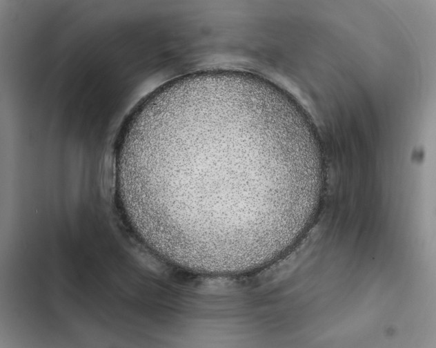 X0000102851219200809151119