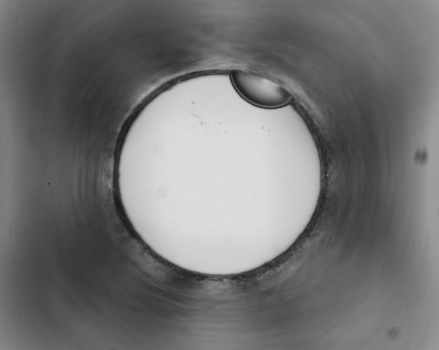 X0000102851220200809151119