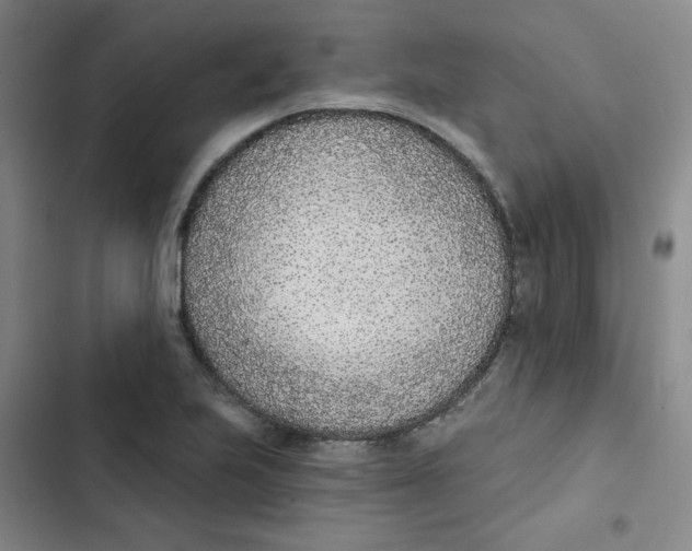 X0000102851223200809151120