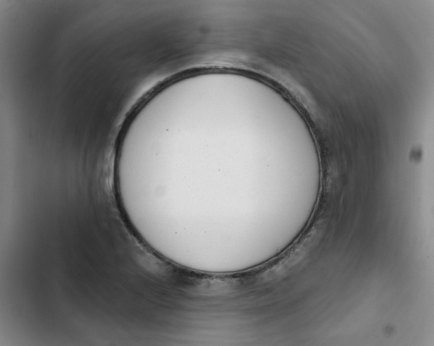 X0000102851224200809151120