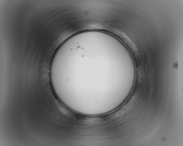 X0000102851225200809151120