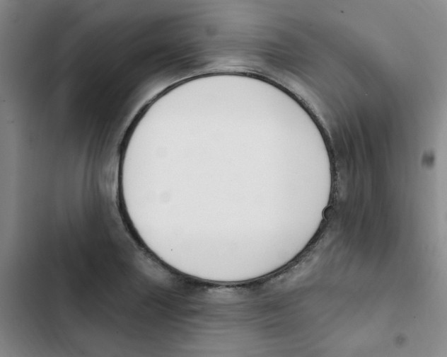 X0000102851227200809151120