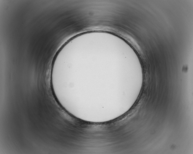 X0000102851228200809151120