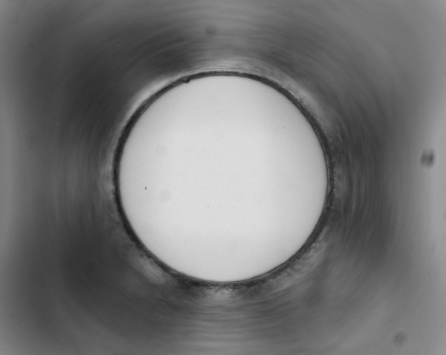 X0000102851230200809151120