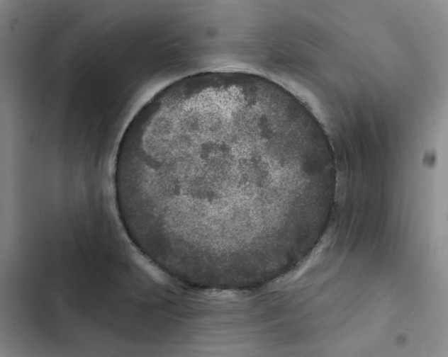 X0000102851231200809151120