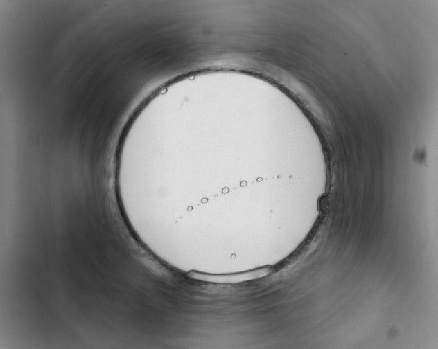 X0000102851232200809151120