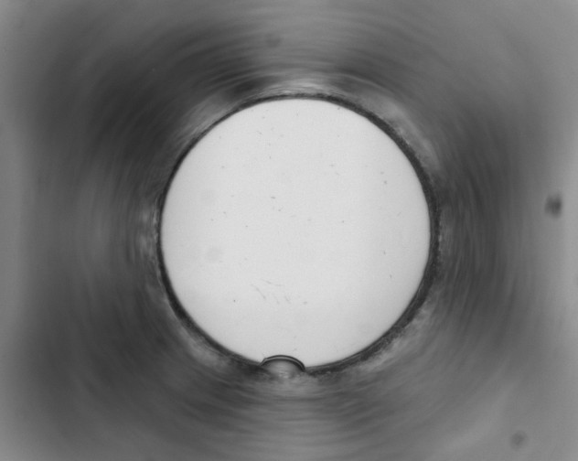 X0000102851233200809151120