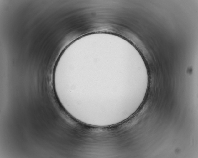 X0000102851234200809151120