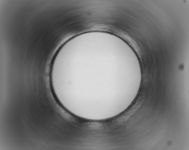 X0000102851235200809151120