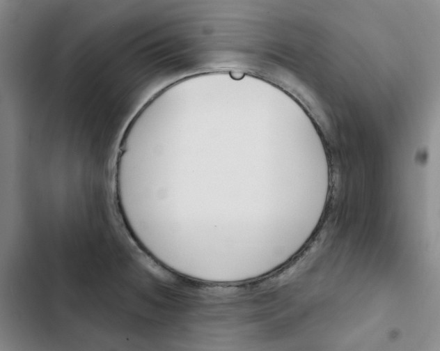 X0000102851236200809151120